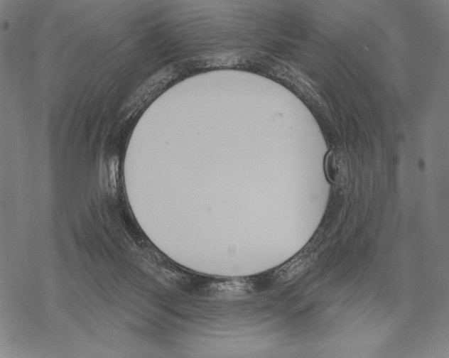 X0000067840118200605111652