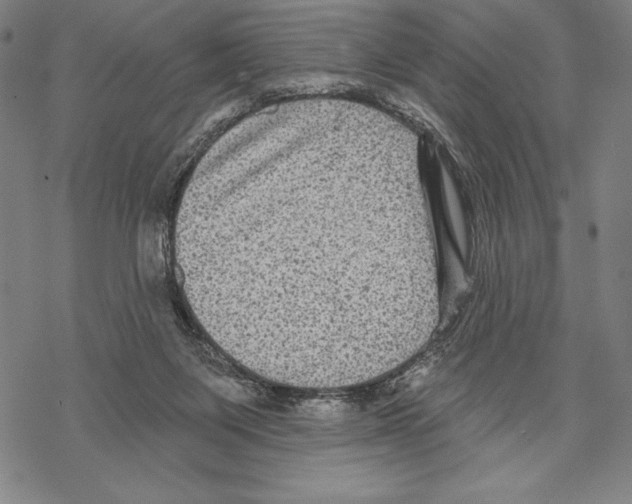 X0000067840119200605111652