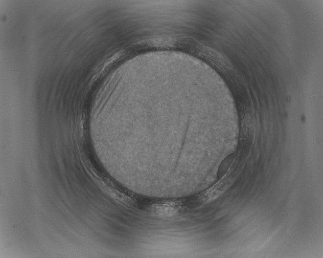 X0000067840120200605111652