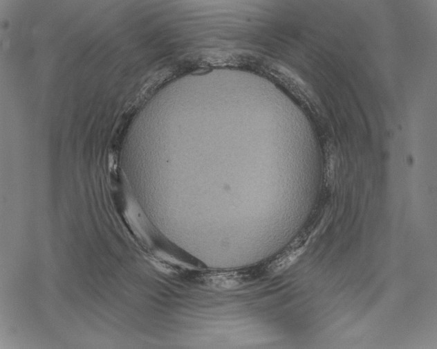 X0000067840121200605111652