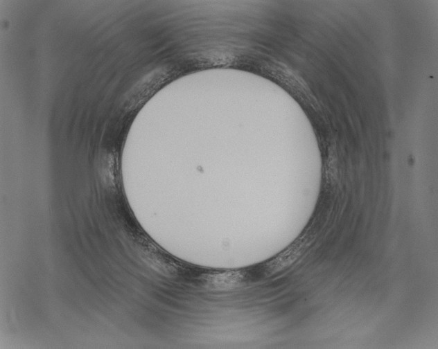 X0000067840122200605111652