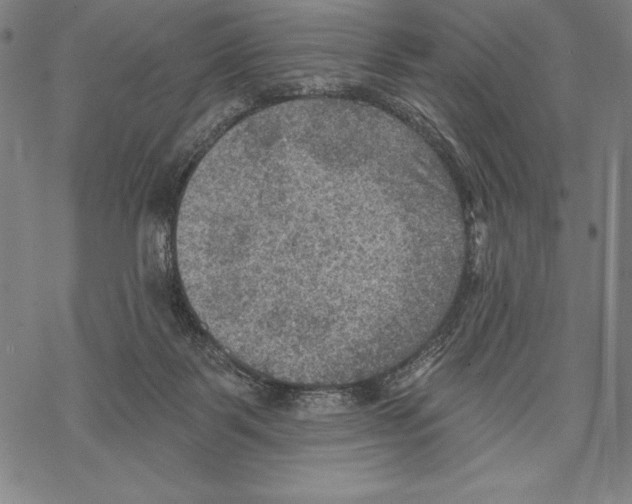 X0000067840123200605111652