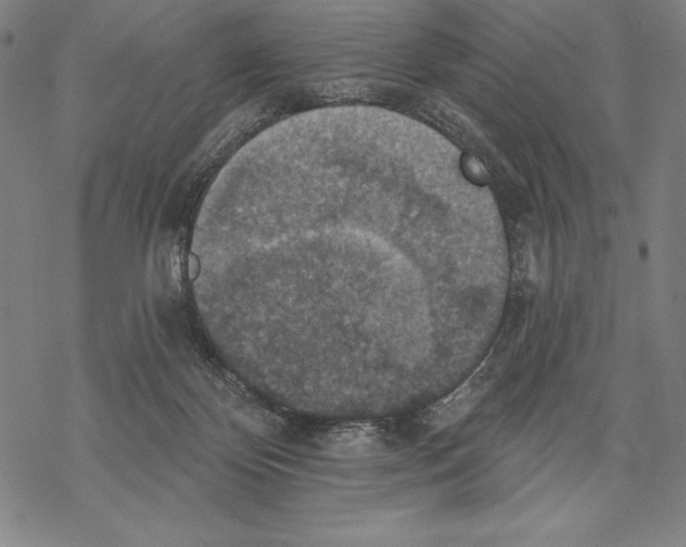 X0000067840124200605111652