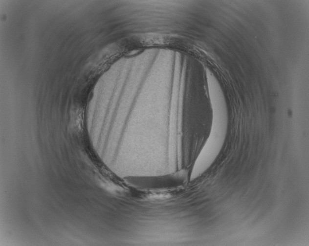 X0000067840125200605111652