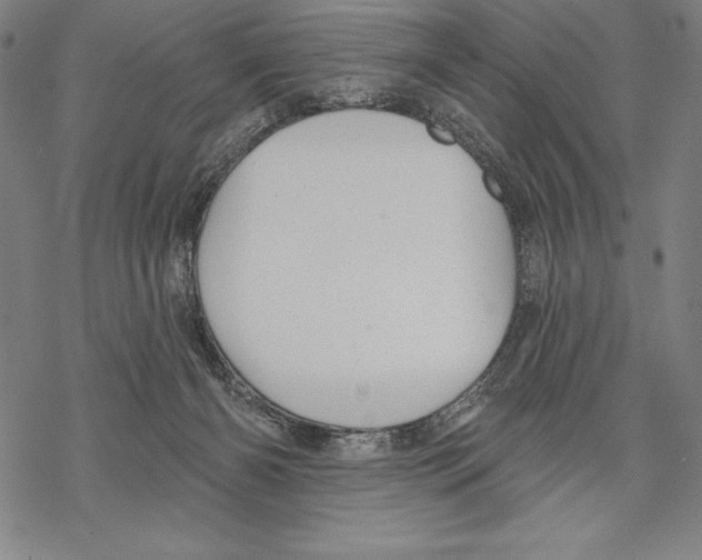 X0000067840126200605111652