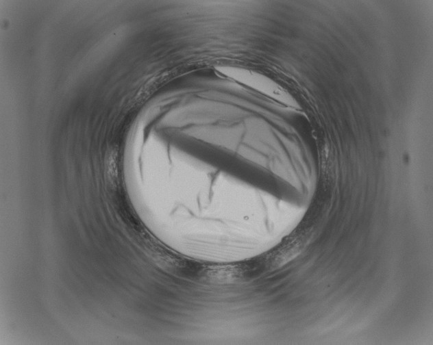 X0000067840127200605111652