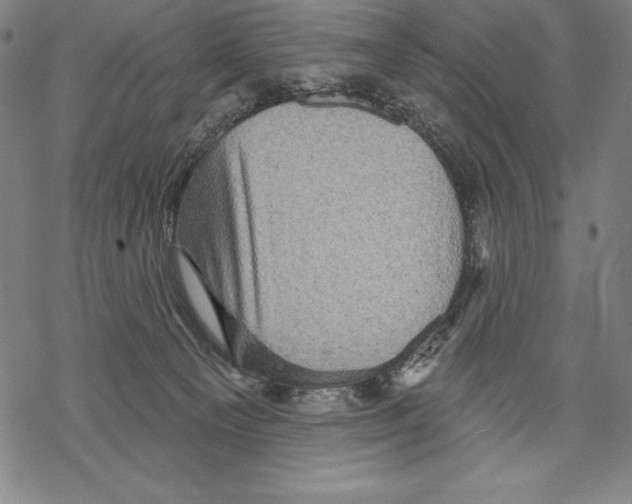 X0000067840129200605111652