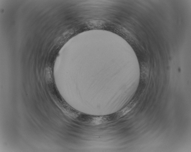 X0000067840130200605111652