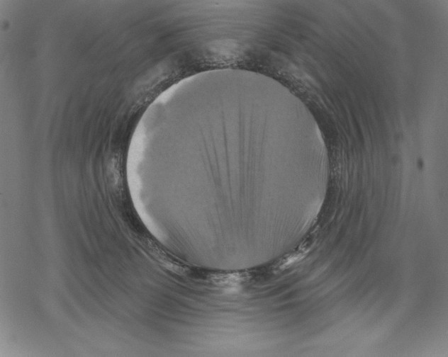 X0000067840131200605111652