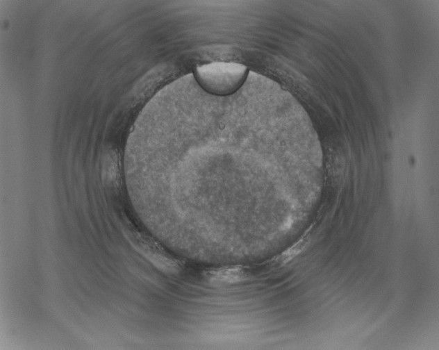 X0000067840132200605111652