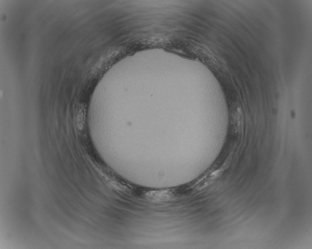 X0000067840133200605111652