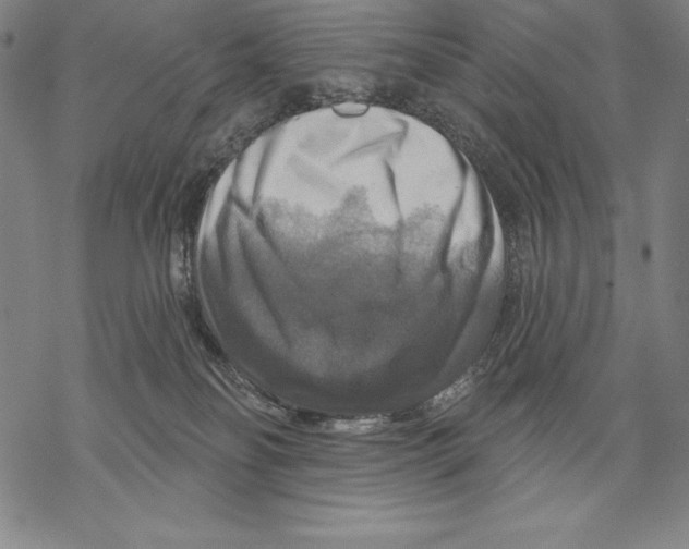 X0000067840134200605111652