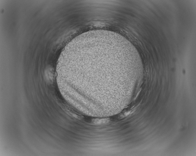 X0000067840135200605111652