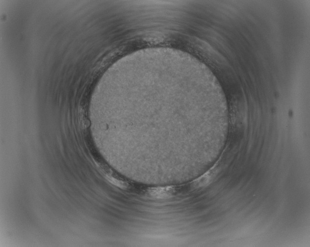 X0000067840136200605111652