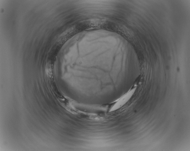 X0000067840137200605111652