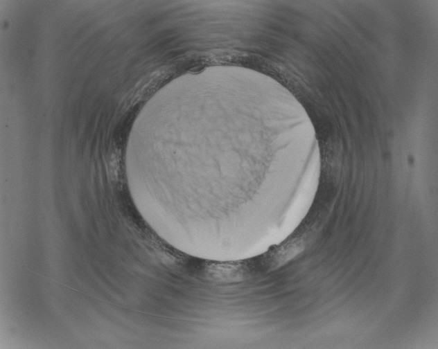 X0000067840139200605111652