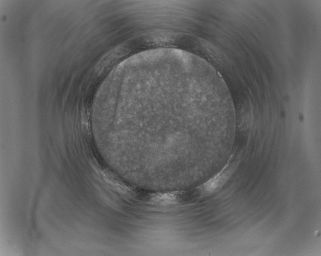 X0000067840140200605111652