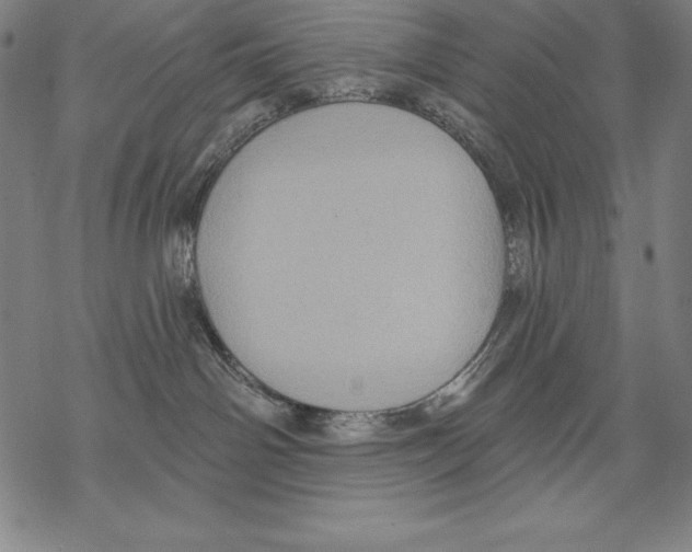 X0000067840142200605111652