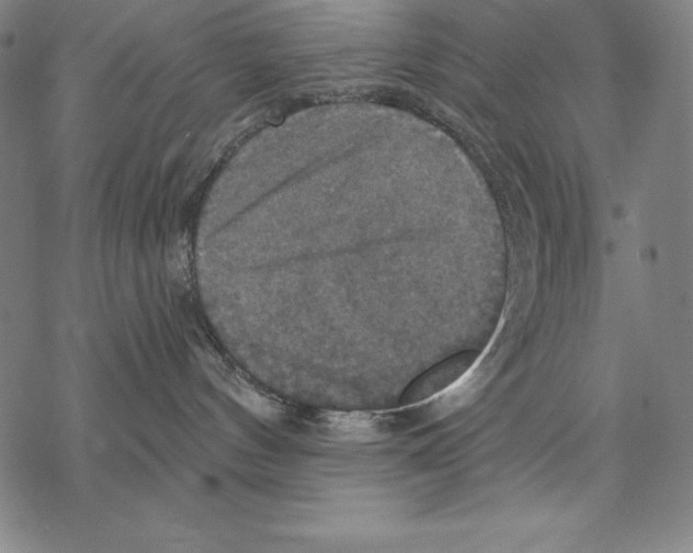 X0000067840144200605111652