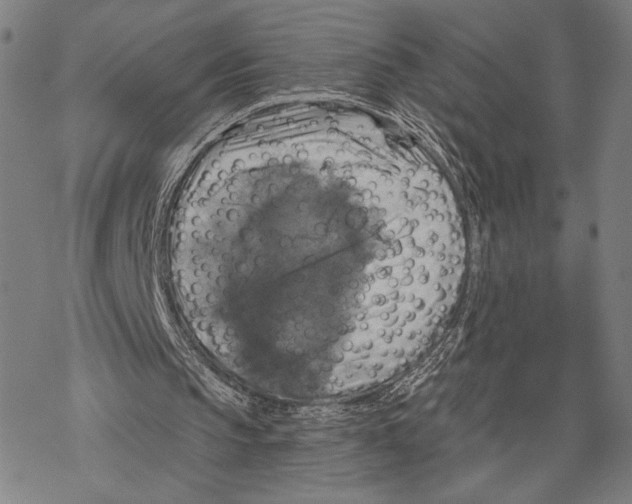 X0000067840145200605111651