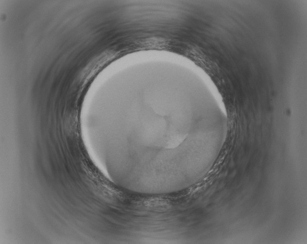 X0000067840146200605111651