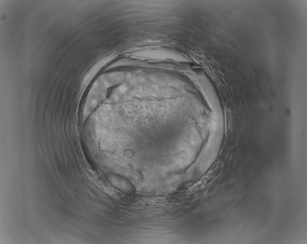 X0000067840147200605111651