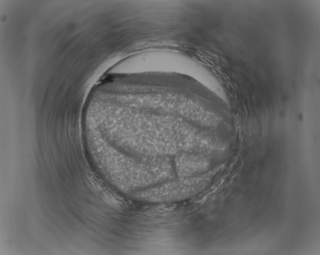 X0000067840148200605111651