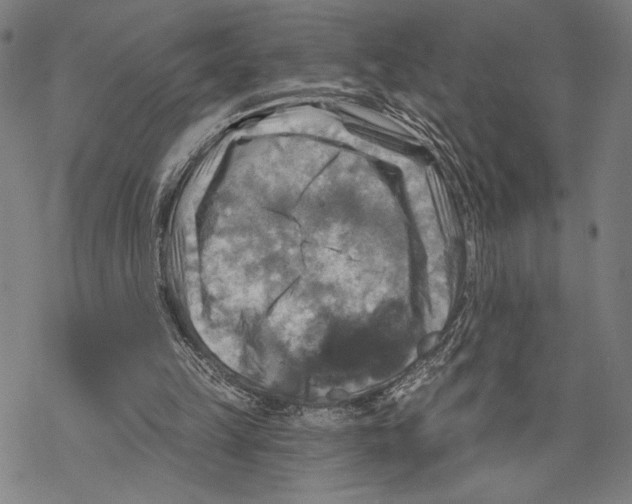 X0000067840149200605111651