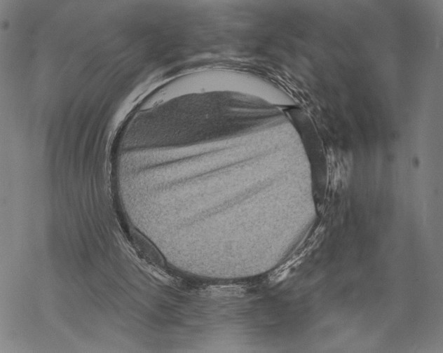 X0000067840150200605111651