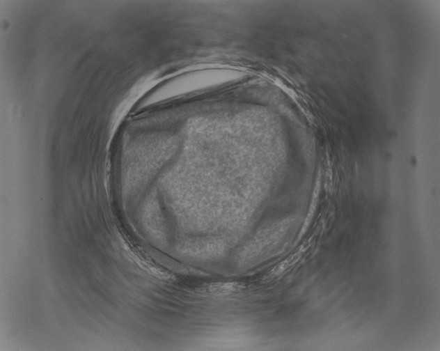 X0000067840152200605111651