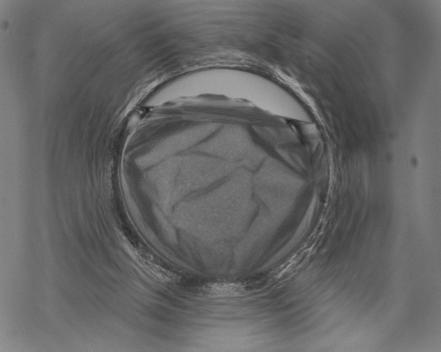 X0000067840154200605111651