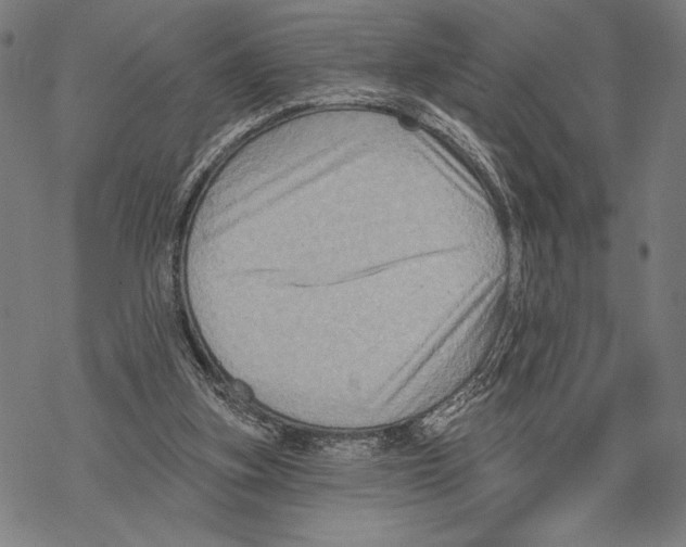 X0000067840155200605111651