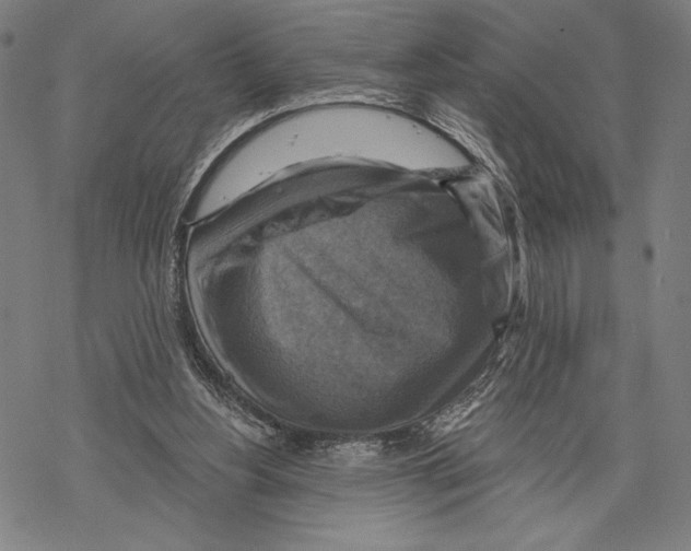 X0000067840156200605111651