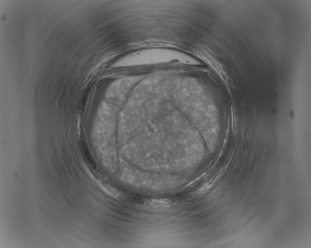 X0000067840157200605111651