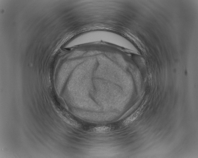 X0000067840158200605111651