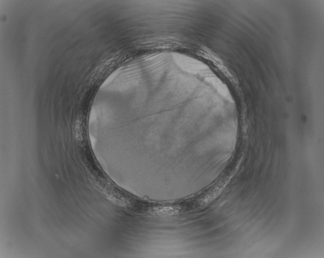 X0000067840161200605111651