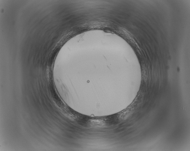 X0000067840167200605111652