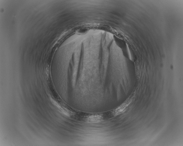 X0000067840168200605111652