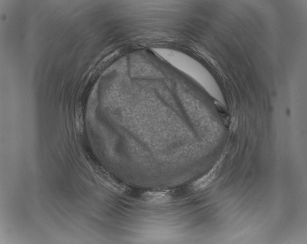 X0000067840170200605111652