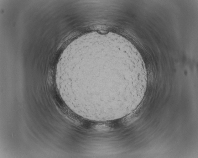 X0000067840171200605111652