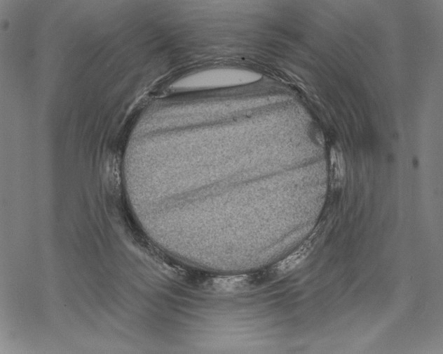 X0000067840172200605111652