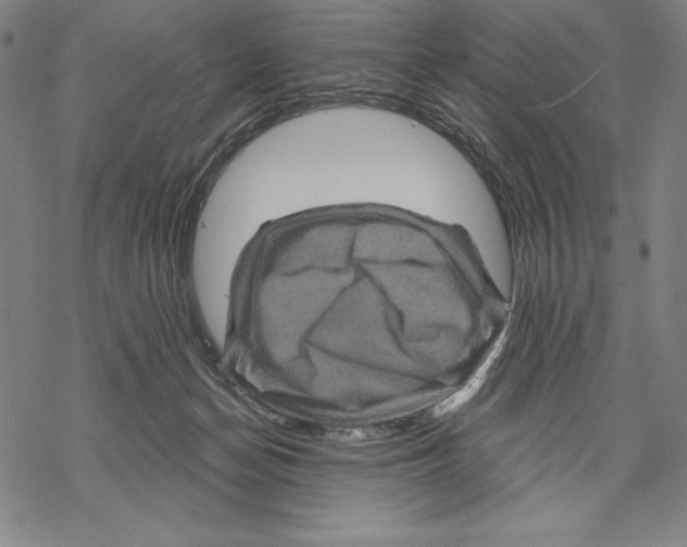 X0000067840174200605111652