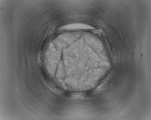 X0000067840175200605111652