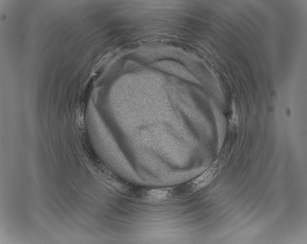 X0000067840176200605111652