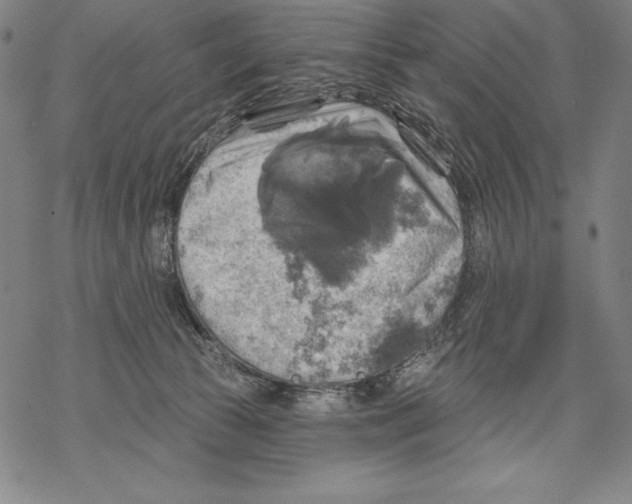 X0000067840177200605111652