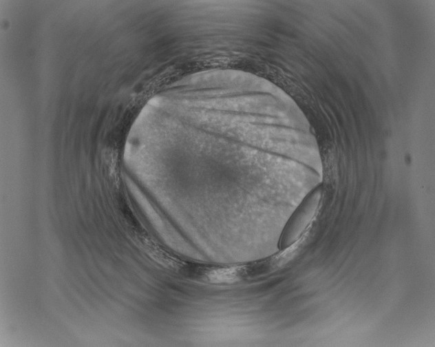 X0000067840178200605111652