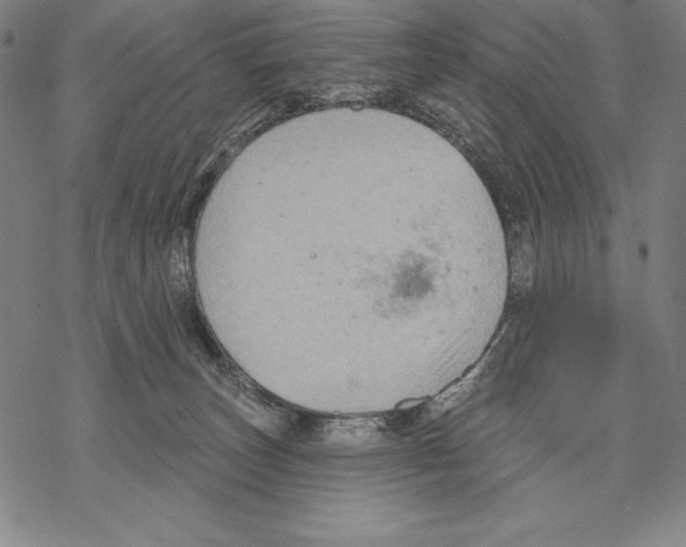 X0000067840179200605111652