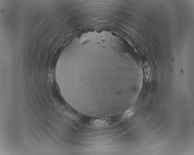 X0000067840180200605111652