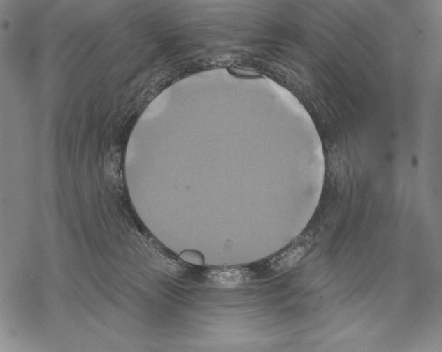 X0000067840181200605111652