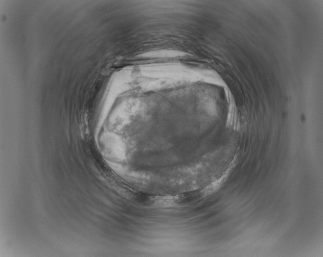 X0000067840182200605111652